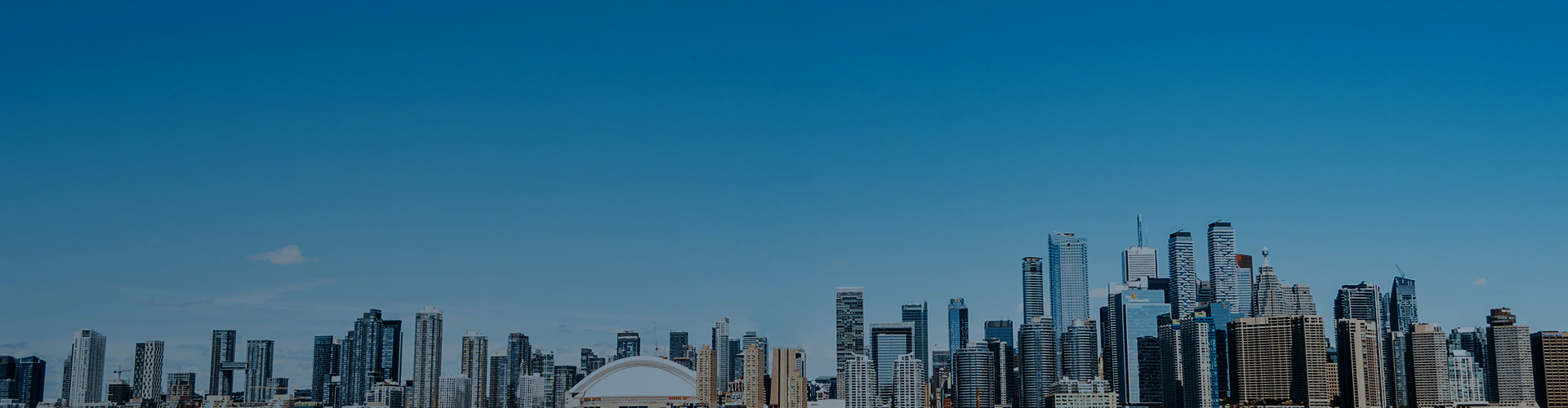 Stake(�й���)�ٷ���վ