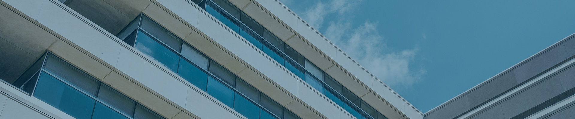 Stake(�й���)�ٷ���վ